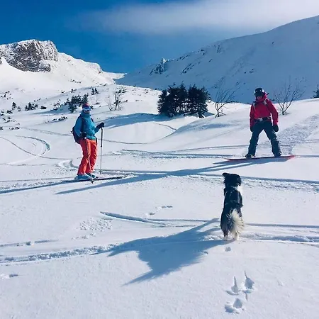 Cosy In Family Compound