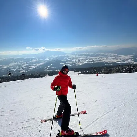 Apartament Cosy In Family Compound Turany