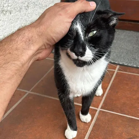 Cosy In Family Compound