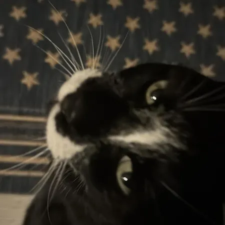 Apartament Cosy In Family Compound *