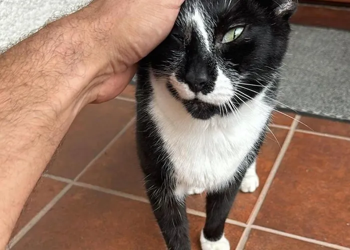 Cosy In Family Compound