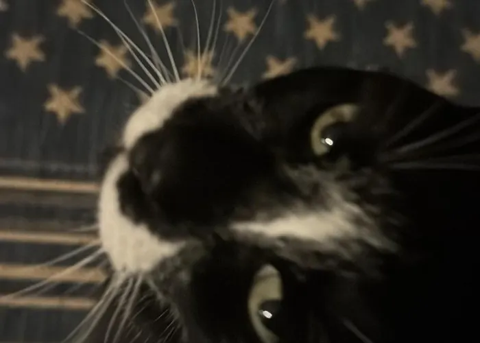 דירה Cosy In Family Compound *